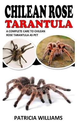 Book cover for Chilean Rose Tarantula