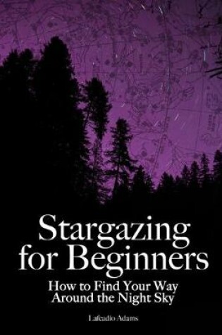 Cover of Stargazing for Beginners