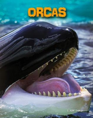 Book cover for Orcas