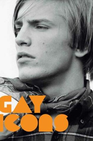 Cover of Gay Icons