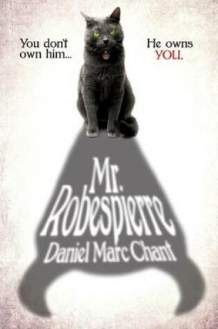 Cover of Mr. Robespierre