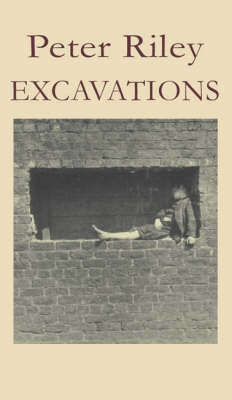 Book cover for Excavations