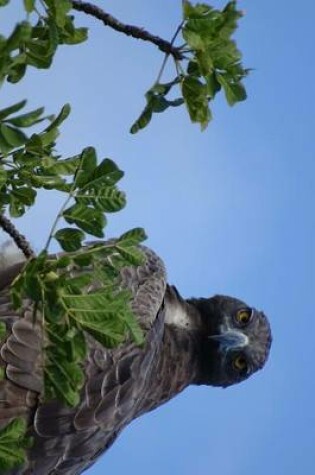 Cover of Martial Eagle in a Tree, Birds of the World