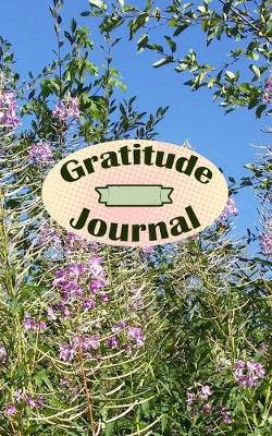 Cover of Gratitude Journal