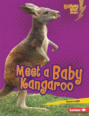 Book cover for Meet a Baby Kangaroo
