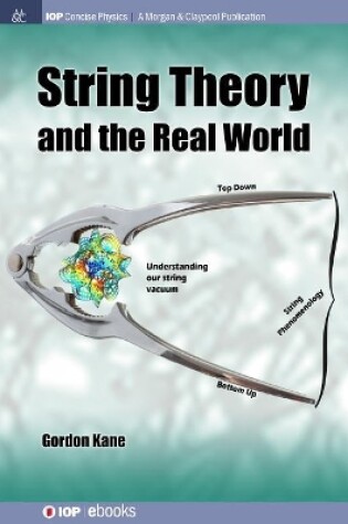 Cover of String Theory and the Real World