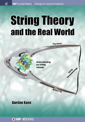 Book cover for String Theory and the Real World