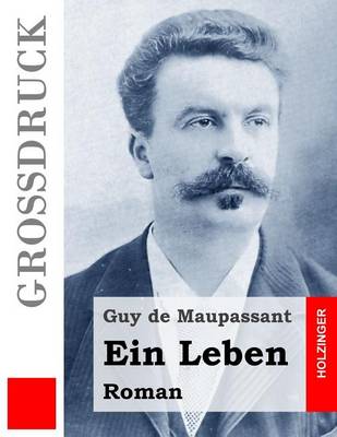 Book cover for Ein Leben (Grossdruck)