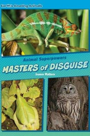 Cover of Masters of Disguise