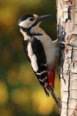 Book cover for Woodpecker Bird Journal