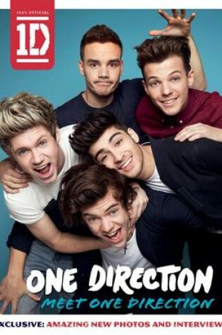 Cover of One Direction: Meet One Direction
