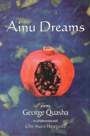 Cover of AINU DREAMS