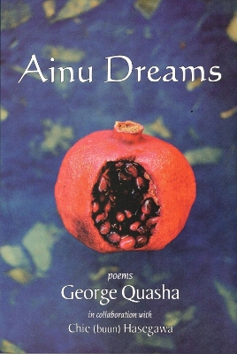 Book cover for AINU DREAMS