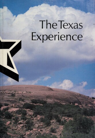 Book cover for Texas Experience