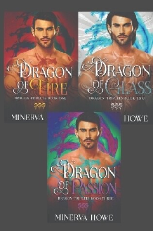 Cover of Dragon Triplets Volume 1-3