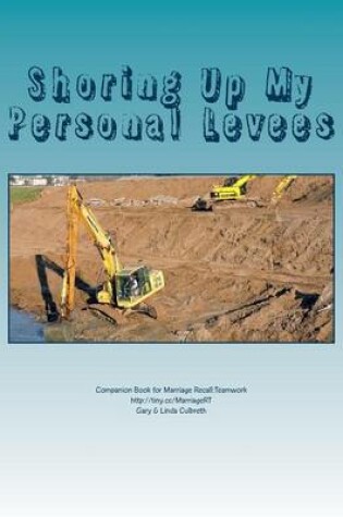 Cover of Shoring Up My Personal Levees