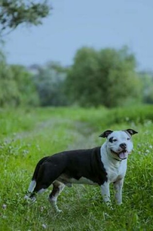 Cover of American Staffordshire Terrier