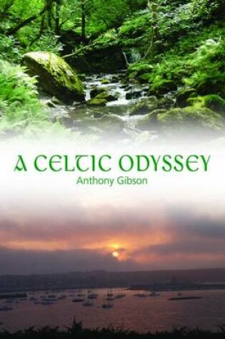 Cover of A Celtic Odyssey