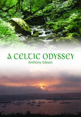 Book cover for A Celtic Odyssey
