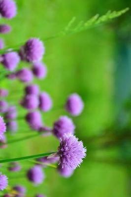 Book cover for Beautiful Purple Chive Blooms in the Garden Journal