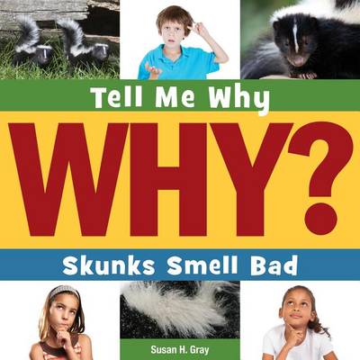 Book cover for Skunks Smell Bad