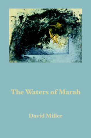 Cover of The Waters of Marah