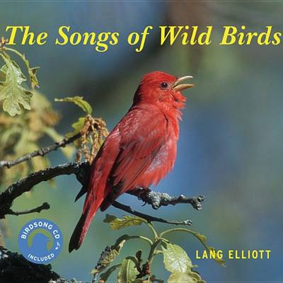 Book cover for The Songs of Wild Birds