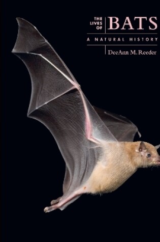 Cover of The Lives of Bats