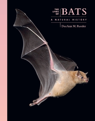 Cover of The Lives of Bats