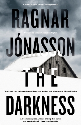 Book cover for The Darkness