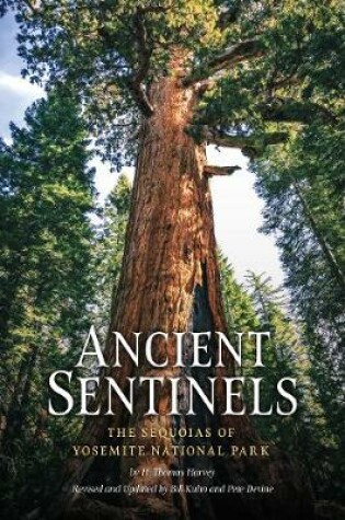 Cover of Ancient Sentinels: The Sequoias of Yosemite National Park