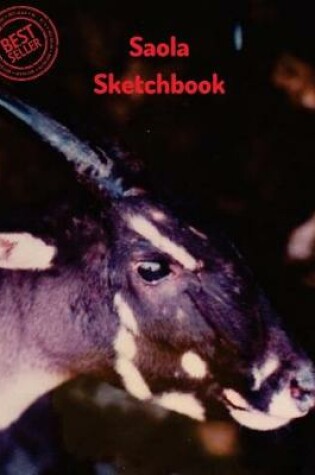 Cover of Saola Sketchbook