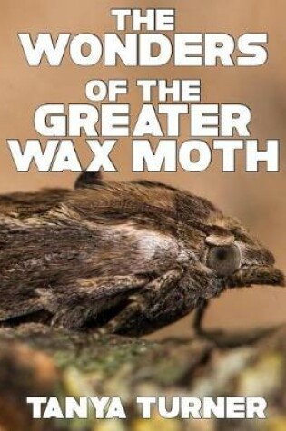 Cover of The Greater Wax Moth