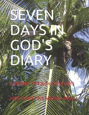 Book cover for Seven Days in God's Diary