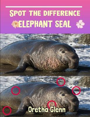 Book cover for Spot the difference Elephant Seal