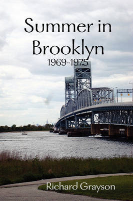 Book cover for Summer in Brooklyn