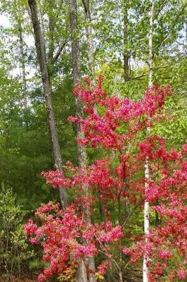 Cover of Journal Flowering Trees Forest's Edge