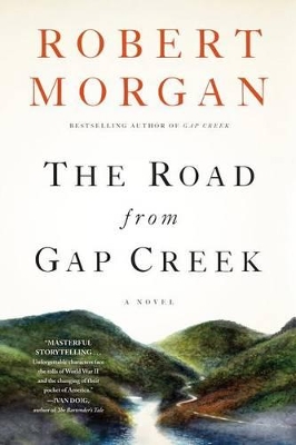 Book cover for The Road from Gap Creek