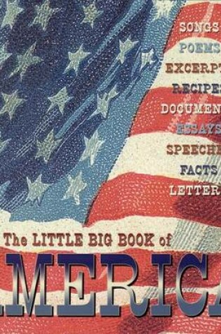 Cover of The Little Big Book of America