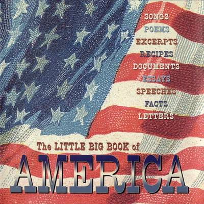 Book cover for The Little Big Book of America