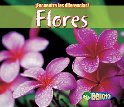 Book cover for Flores