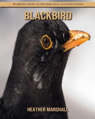 Book cover for Blackbird