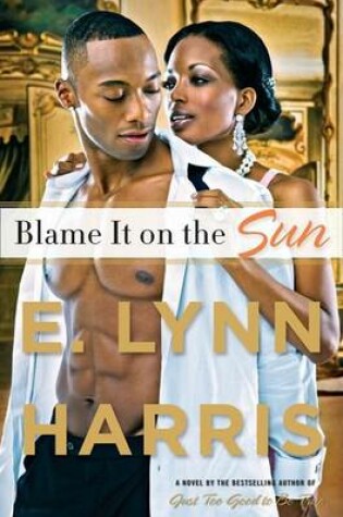 Cover of Blame It on the Sun