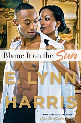 Book cover for Blame It on the Sun