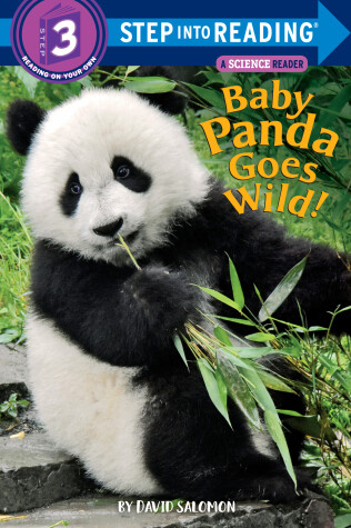 Book cover for Baby Panda Goes Wild!