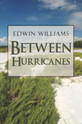 Cover of Between Hurricanes