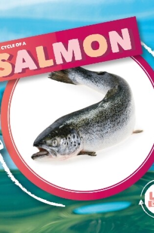 Cover of Life Cycle Of A Salmon