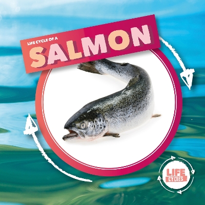 Book cover for Life Cycle Of A Salmon