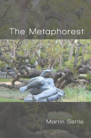 Cover of The Metaphorest