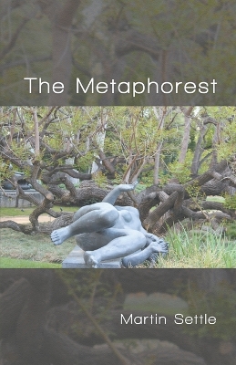 Book cover for The Metaphorest